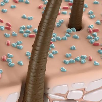 Biotic Schwarzkopf | Coserty.com Biotic Schwarzkopf | Coserty.com